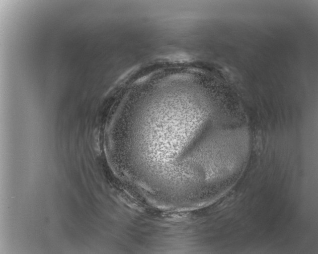 X0000080151205200612221940