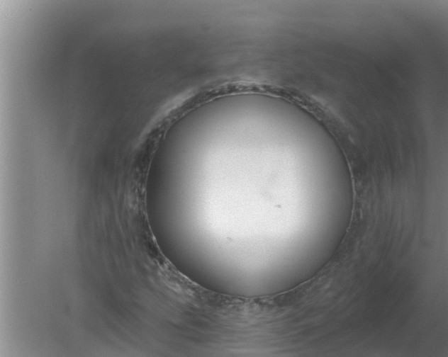 X0000080151207200612221940