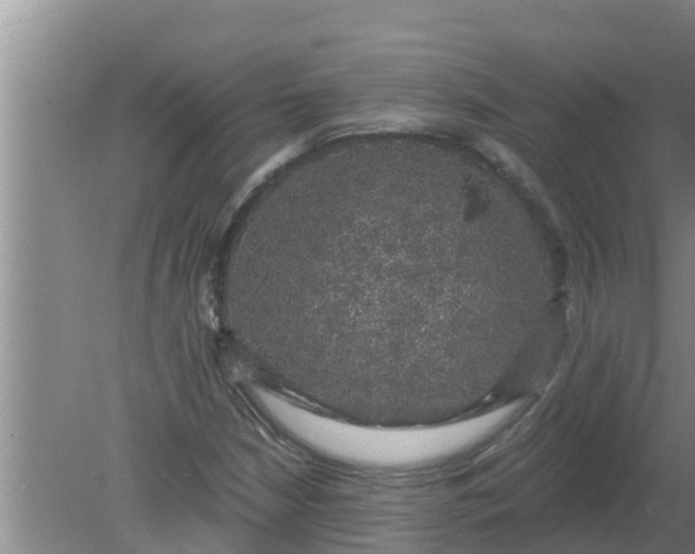 X0000080151210200612221940