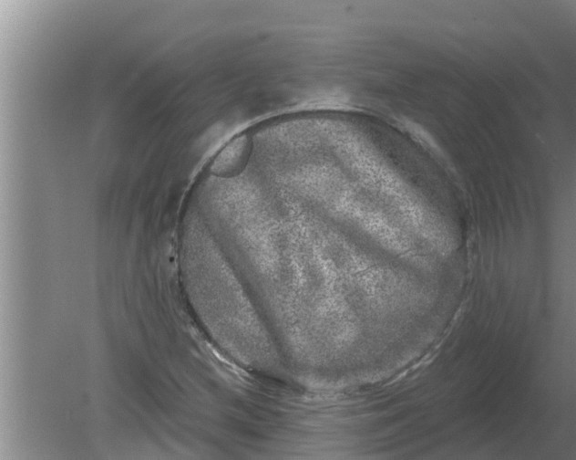 X0000080151212200612221940