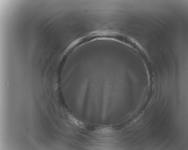 X0000080151213200612221940