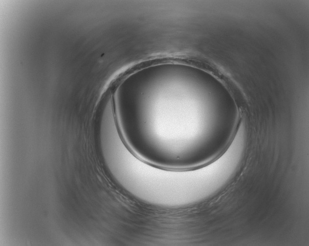 X0000080151214200612221940