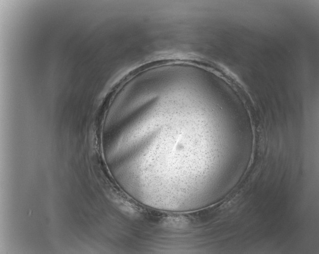 X0000080151215200612221940