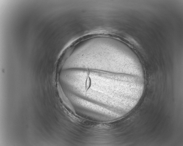 X0000080151216200612221940