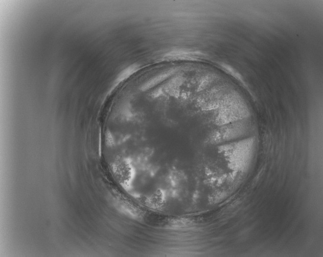 X0000080151219200612221940