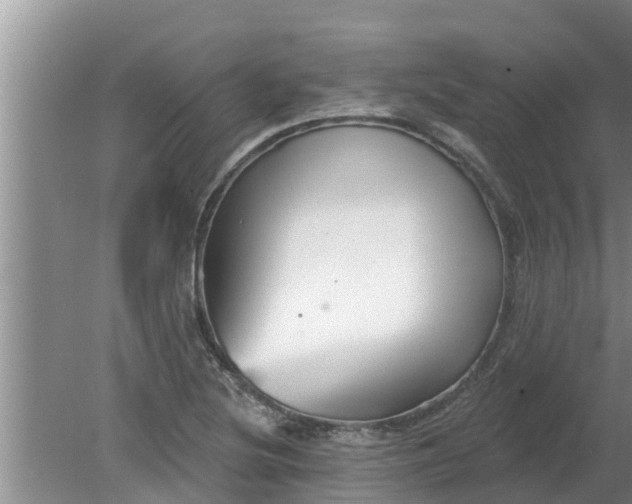 X0000080151220200612221940