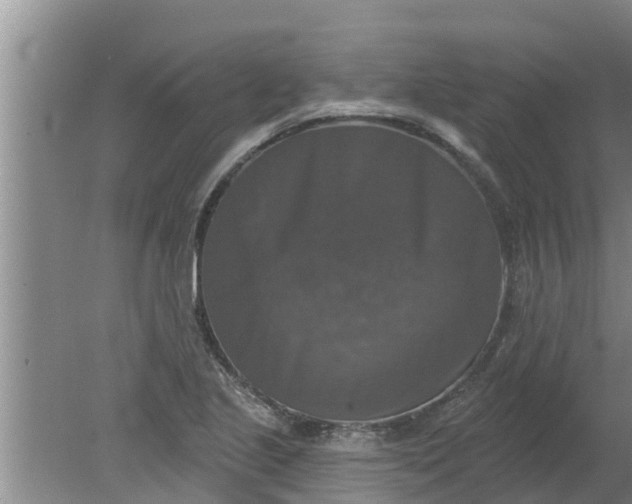 X0000080151221200612221940