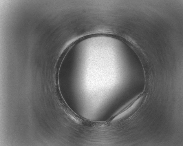 X0000080151222200612221940