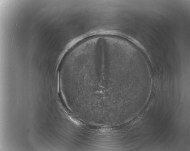 X0000080151223200612221940