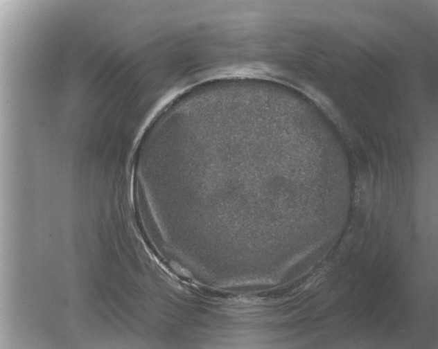 X0000080151224200612221940