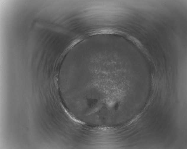 X0000080151225200612221940