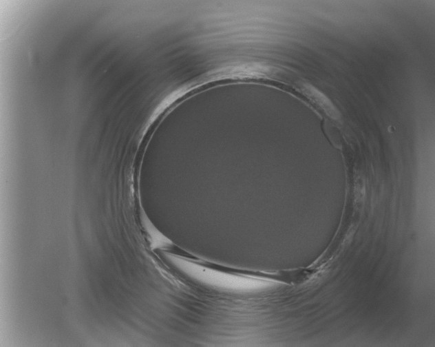 X0000080151226200612221940