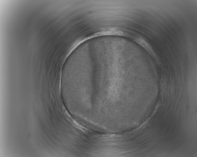 X0000080151228200612221940