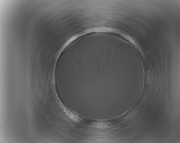 X0000080151229200612221940