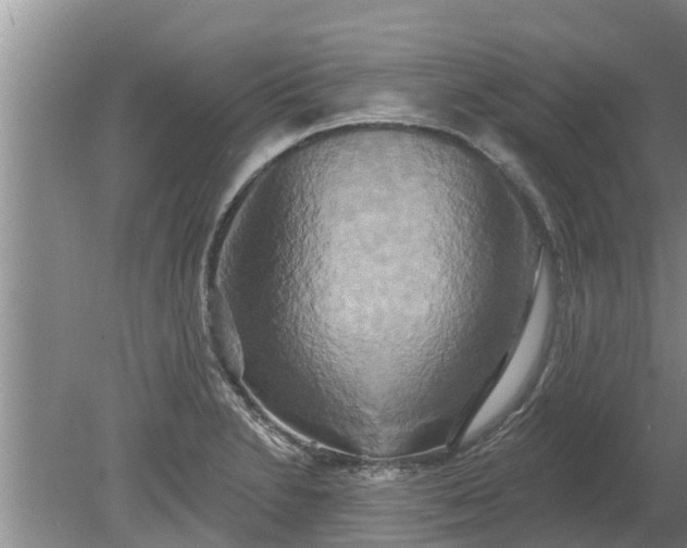 X0000080151230200612221940