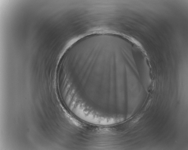 X0000080151231200612221940