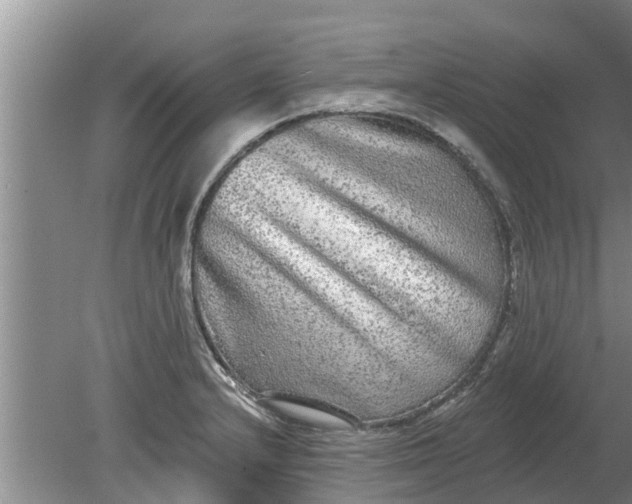 X0000080151232200612221940