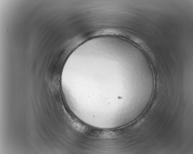 X0000080151233200612221940