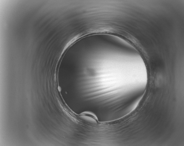 X0000080151234200612221941