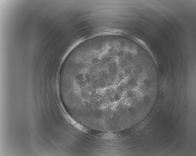 X0000080151235200612221941