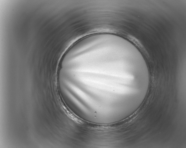 X0000080151236200612221941