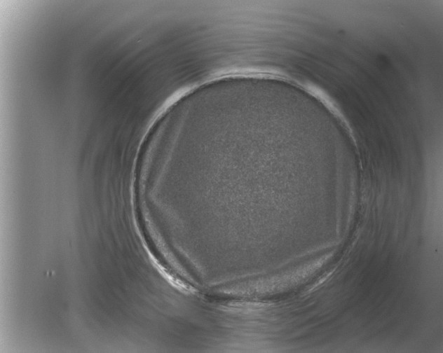 X0000080151237200612221941