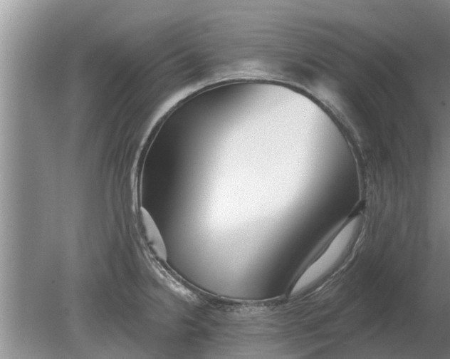 X0000080151238200612221941