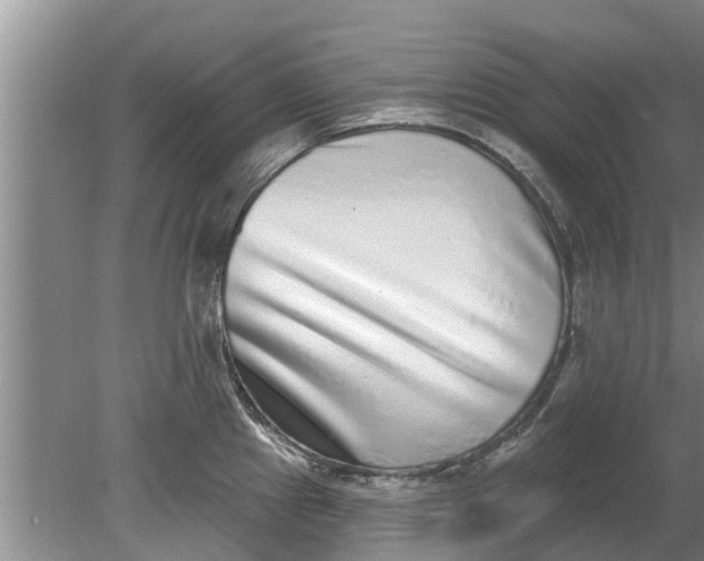 X0000080151241200612221941