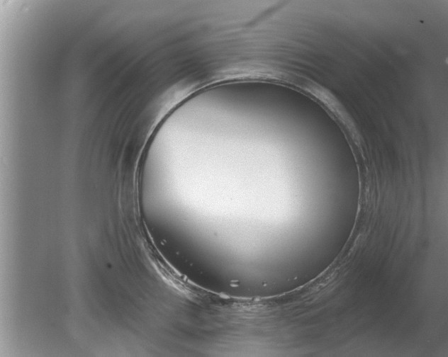 X0000080151242200612221941