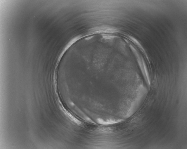 X0000080151243200612221941