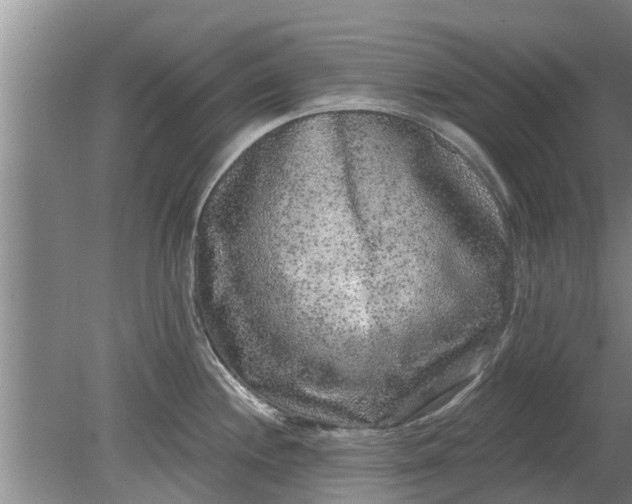 X0000080151244200612221941