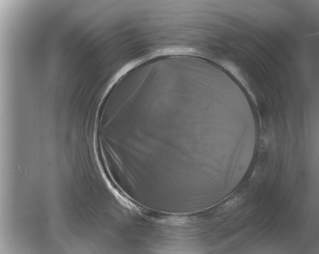 X0000080151245200612221941