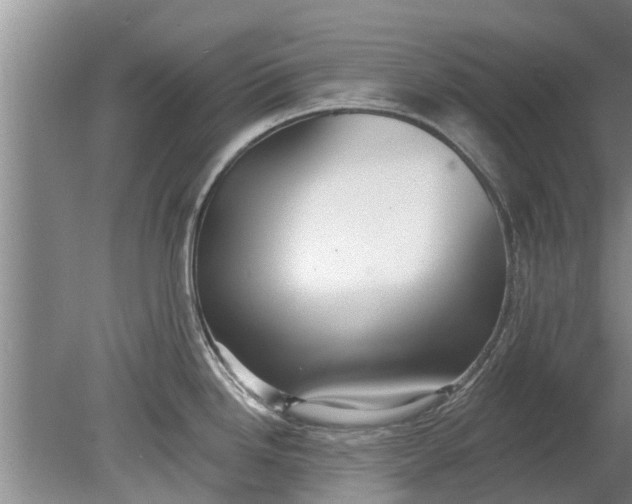 X0000080151246200612221941