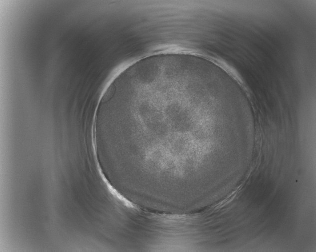 X0000080151247200612221941