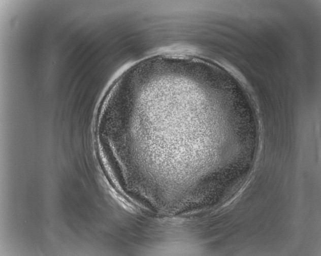 X0000080151248200612221941