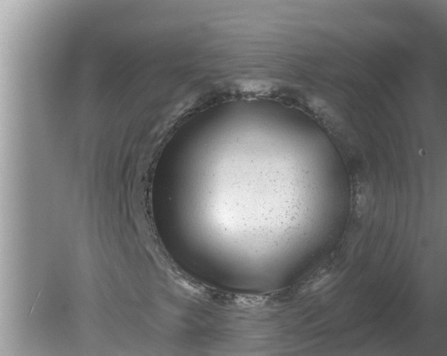 X0000080151249200612221940