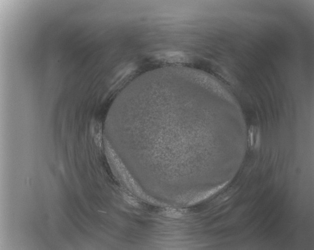 X0000080151251200612221940