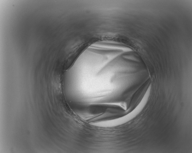 X0000080151252200612221940