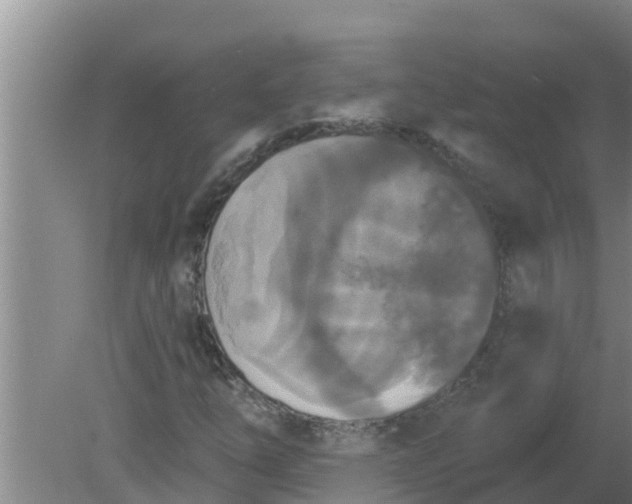 X0000080151254200612221940