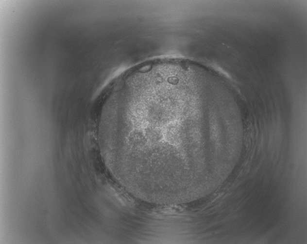 X0000080151255200612221940