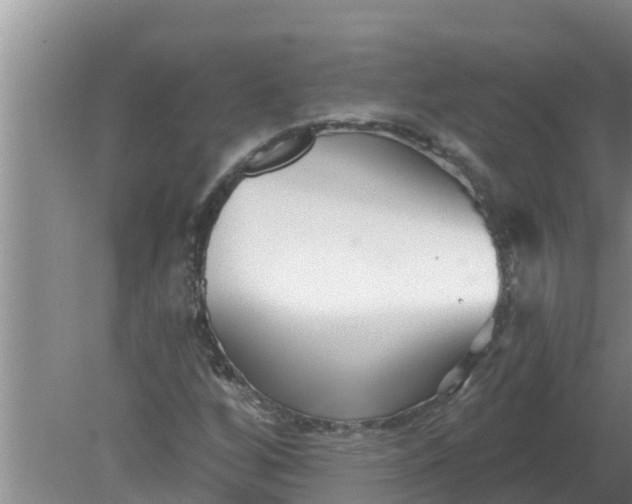 X0000080151256200612221940