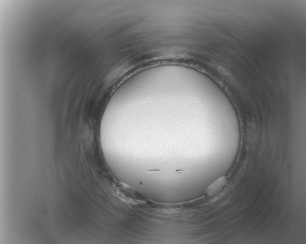 X0000080151257200612221940