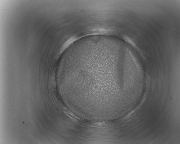 X0000080151259200612221940