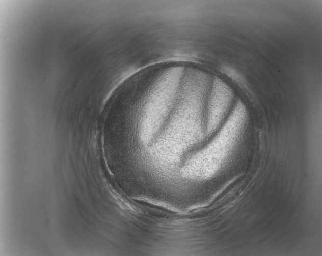 X0000080151260200612221940