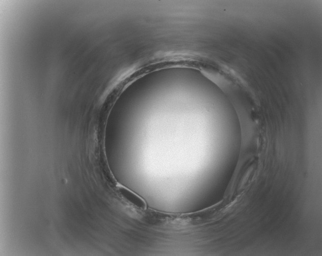 X0000080151261200612221940