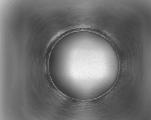 X0000080151262200612221940