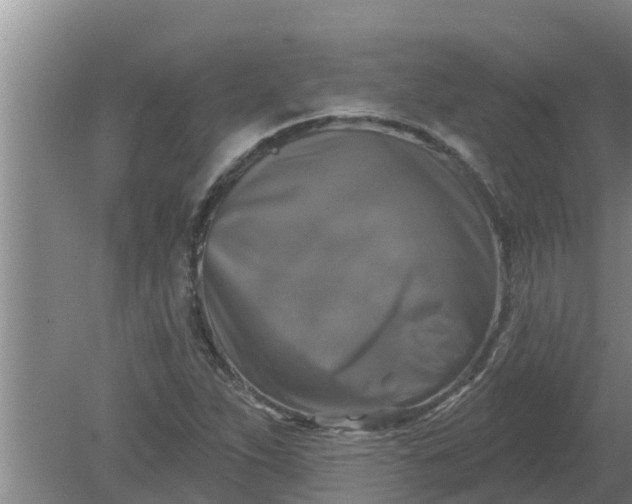 X0000080151263200612221940