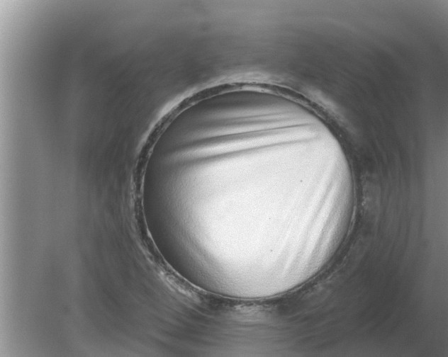 X0000080151264200612221940