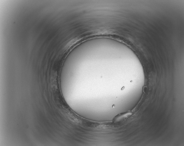 X0000080151265200612221940