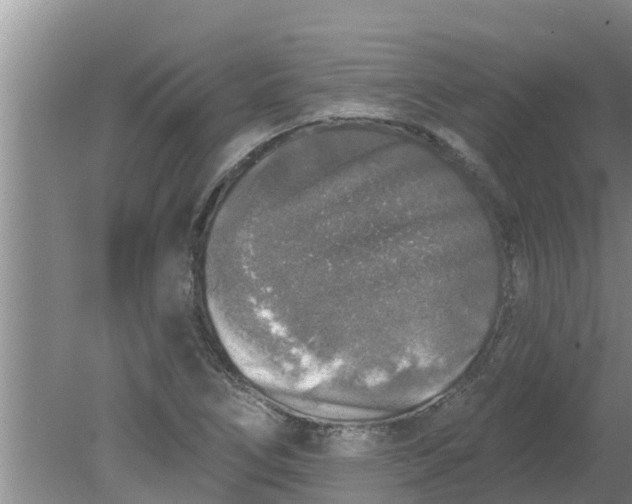 X0000080151266200612221940